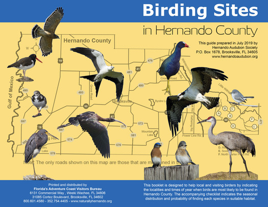 Birding_Sites_Hernando_County-Covers-FINAL