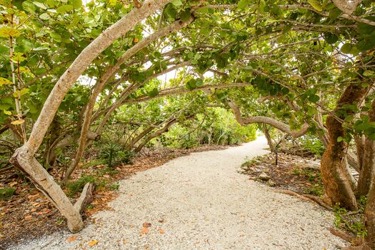 Robinson Preserve