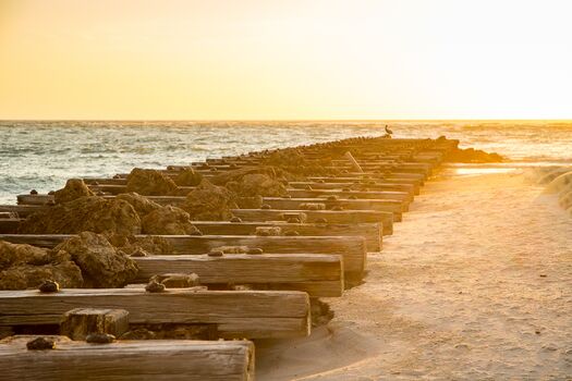 Rustic Pier at Coquina Beach