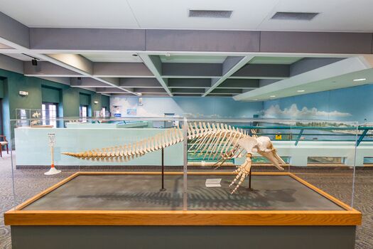 The Bishop Museum of Science and Nature
