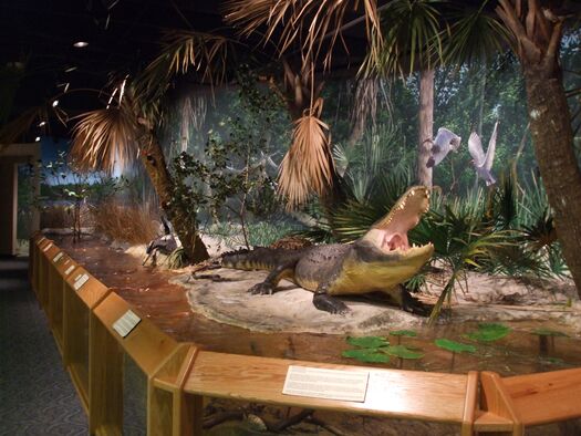 The Bishop Museum of Science and Nature