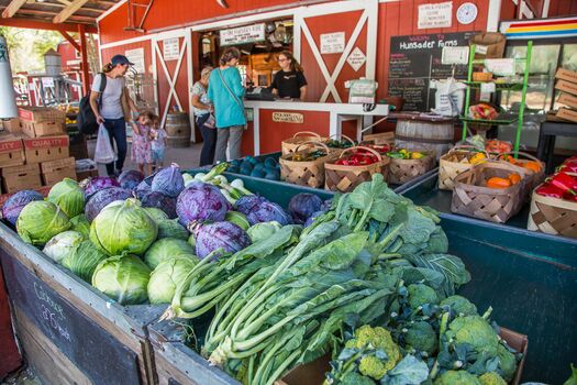 Hunsader Farms
