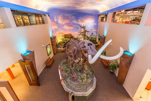 The Bishop Museum of Science and Nature