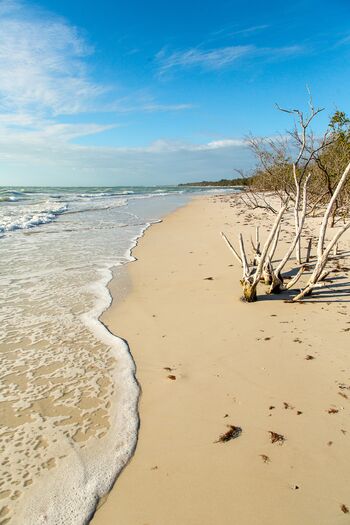 Longboat Key Beach