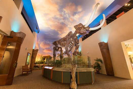 The Bishop Museum of Science and Nature