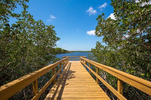 Manatee River at the River Club