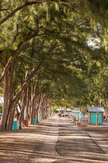 Coquina Beach Walkway