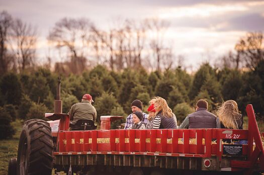 Linvilla Orchards Christmas Around the Farm