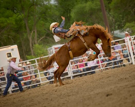 BuffaloBillRodeo_6.14.12_0351