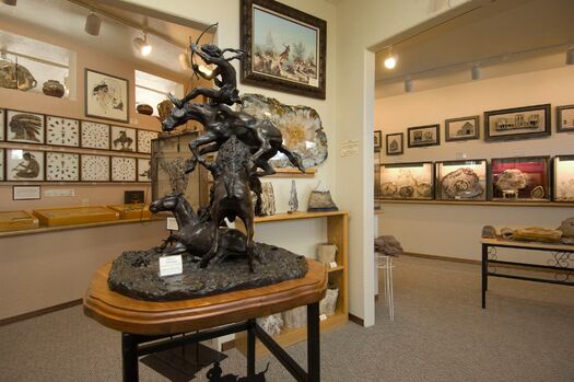 PetrifiedWoodGallery_06