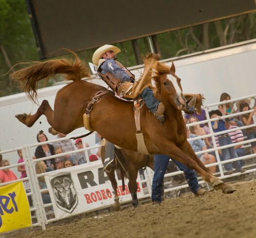 BuffaloBillRodeo_6.14.12_0342