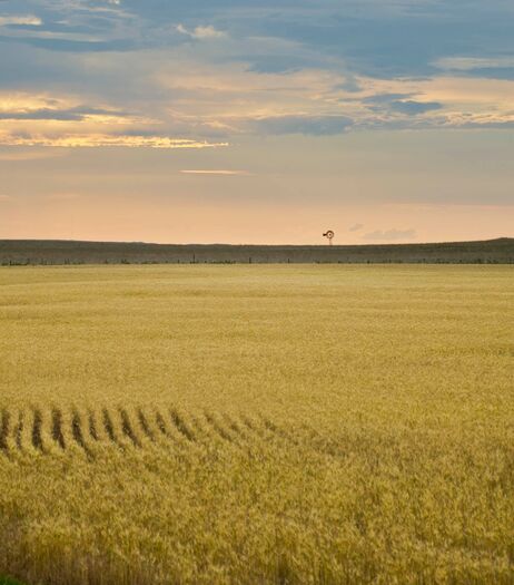 WindmillWheatSkyHwy71_7.12_018