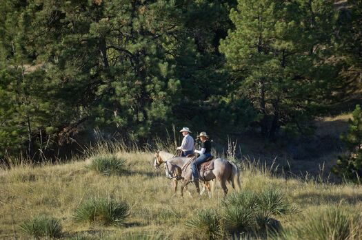 ENesters_HorsebackMurphysRanch_888