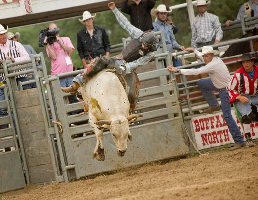 BuffaloBillRodeo_6.14.12_0290