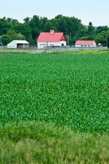 Barns_Hwy14Neligh_04