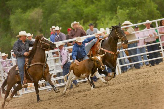 BuffaloBillRodeo_6.14.12_0443