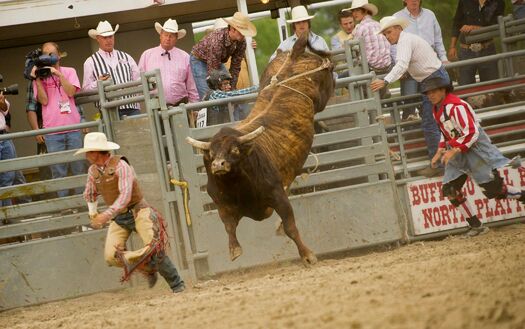 BuffaloBillRodeo_6.14.12_0232