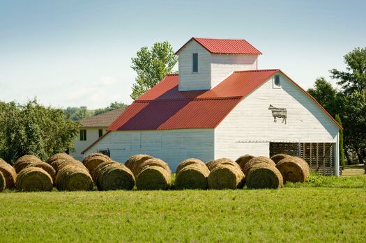 Barn_WofTaylor_06