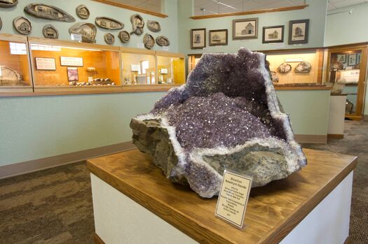 PetrifiedWoodGallery_6.12_02