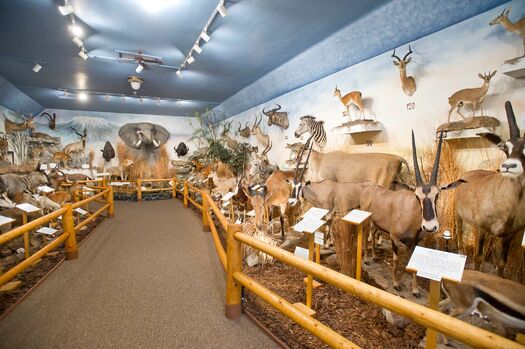 PierceWildlifeMuseum_Neligh_002