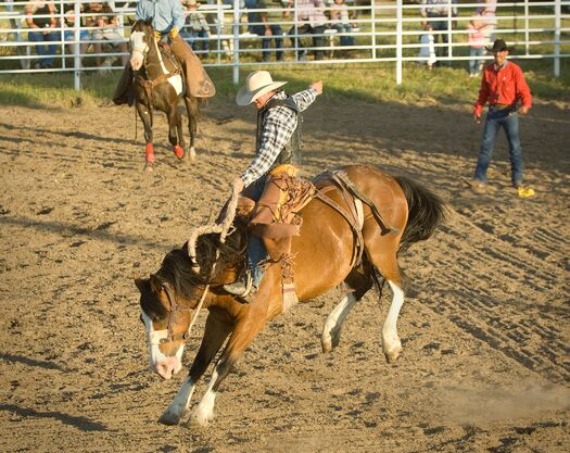 CallawayRodeo2008_444