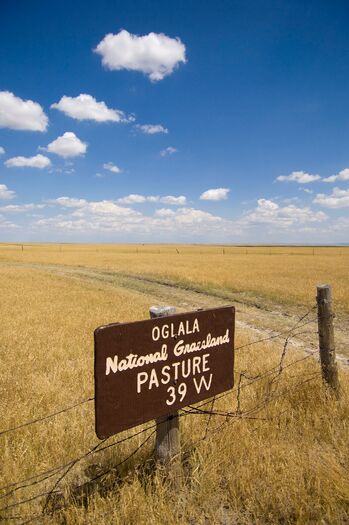 OglalaNationalGrassland_01