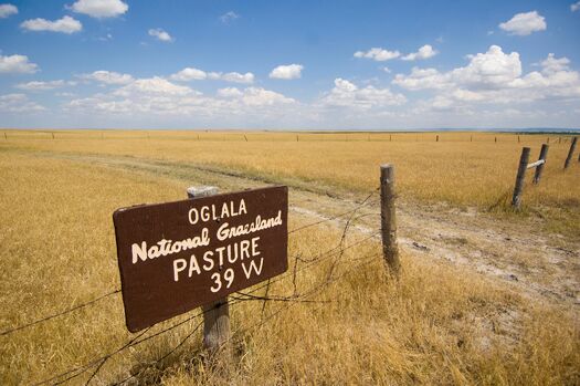 OglalaNationalGrassland_02