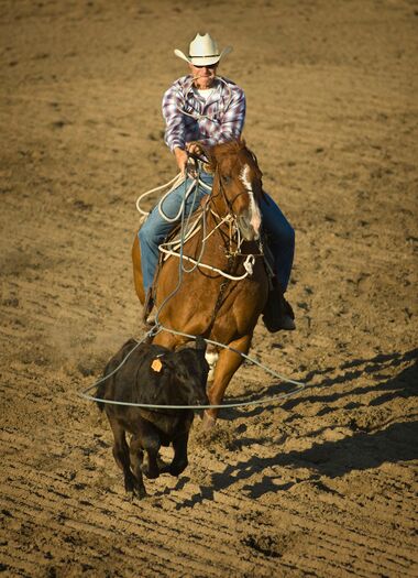 CallawayRodeo2008_187