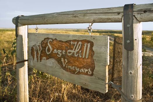 SageHillVineyard_03