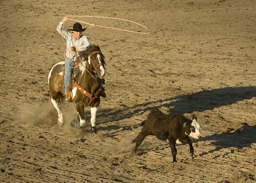 CallawayRodeo2008_390