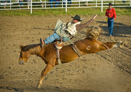 CallawayRodeo2008_119