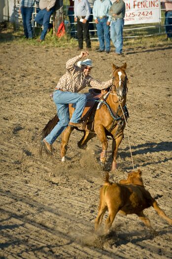 CallawayRodeo2008_233