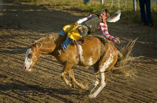 CallawayRodeo2008_078