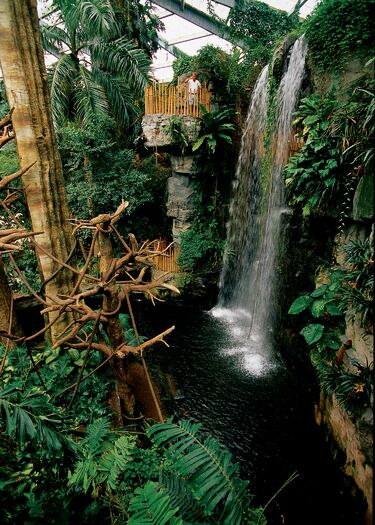 Lied_Jungle_Waterfall_MForsberg