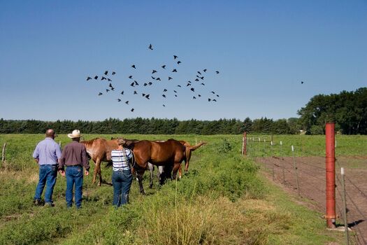 UncleBucksRanch_EmilieBouvier_5332