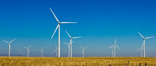 PetersburgWindfarm_37