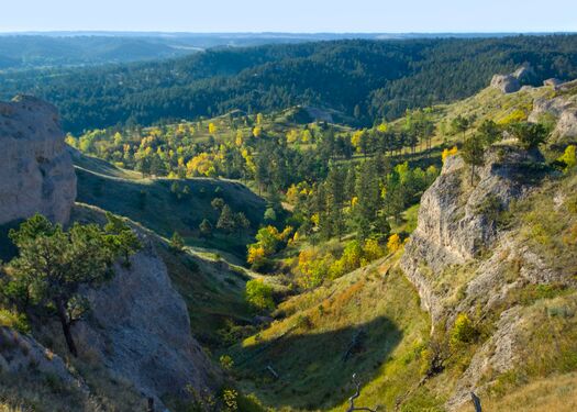 ChadronSP_FallColor