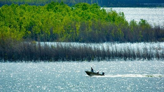 SwansonReservoir_376