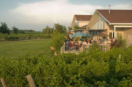 MacsCreekVineyard_050