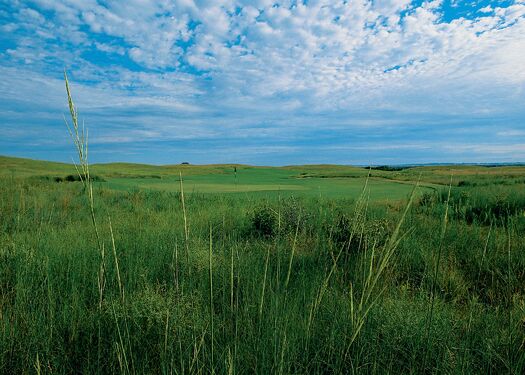 Wild_Horse_Golf02_MForsberg