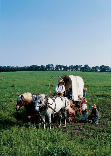 Homestead_Days_Greenspan