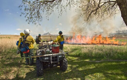 HomesteadNM_ControlledBurn_380