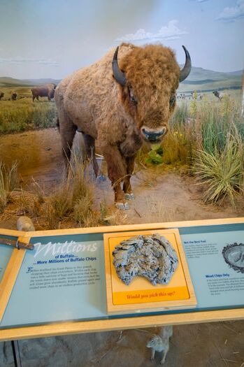 LewisClarkMissouriRiverInterpretCenter_068