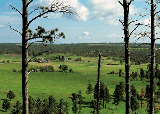 Nebraska_National_Forest_Pine_Ridge_MForsberg