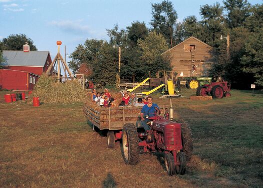 Pumpkin_Patch_Gretna_MForsberg