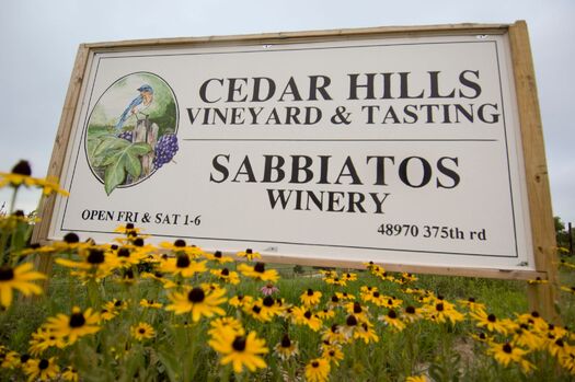 CedatrHillsVineyard_02