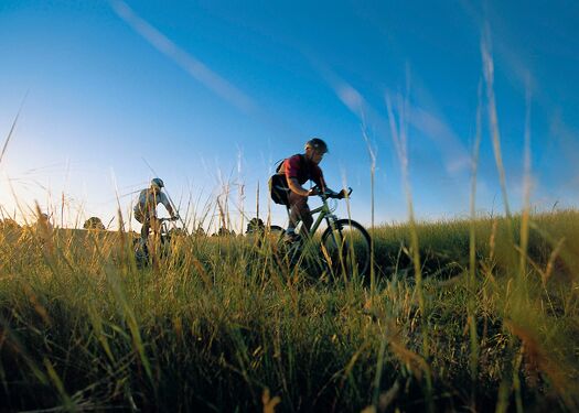 Chadron_Tall_Grass_MForsberg