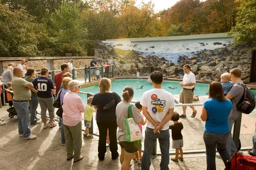 LincChildZoo_Penguins_094plus