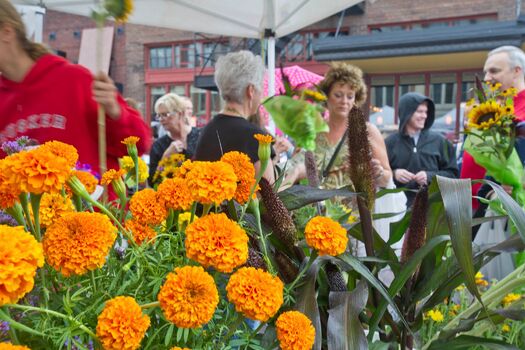 HaymarketFarmersMarket_8.4.12_102