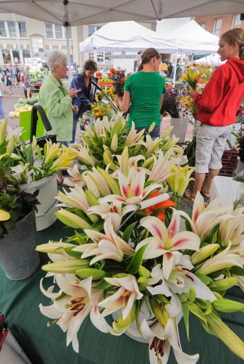 HaymarketFarmersMarket_8.4.12_263